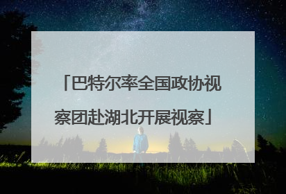巴特尔率全国政协视察团赴湖北开展视察