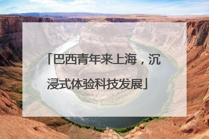 巴西青年来上海，沉浸式体验科技发展