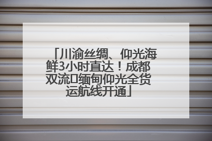 川渝丝绸、仰光海鲜3小时直达！成都双流⇌缅甸仰光全货运航线开通