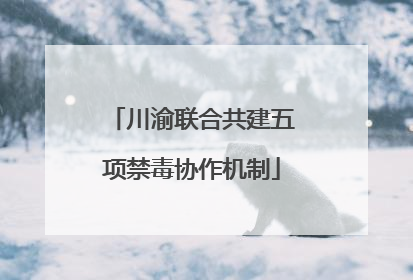 川渝联合共建五项禁毒协作机制