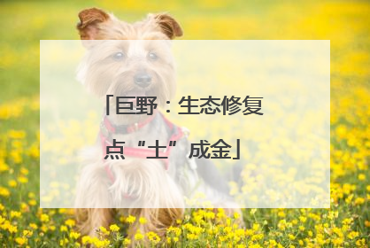 巨野：生态修复点“土”成金
