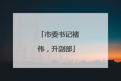 市委书记褚伟，升副部