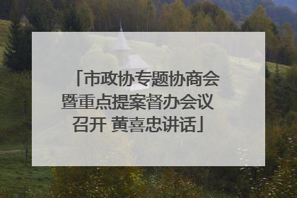 市政协专题协商会暨重点提案督办会议召开 黄喜忠讲话