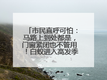 市民直呼可怕：马路上到处都是，门窗紧闭也不管用！白蚁进入高发季，但尚未达顶峰