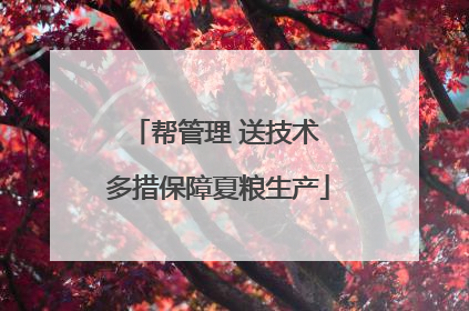 帮管理 送技术 多措保障夏粮生产
