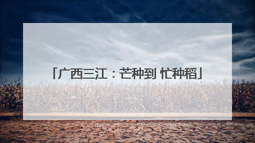广西三江：芒种到 忙种稻
