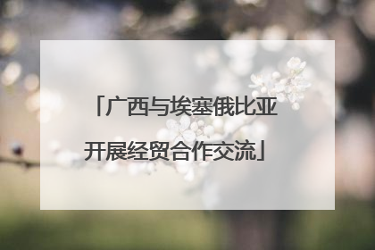 广西与埃塞俄比亚开展经贸合作交流