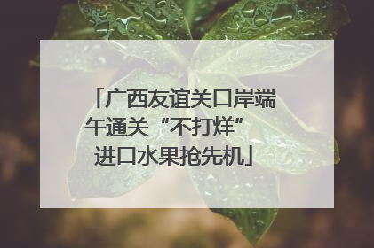 广西友谊关口岸端午通关“不打烊” 进口水果抢先机