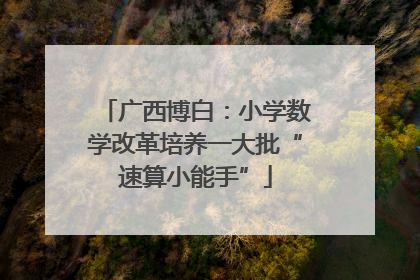 广西博白：小学数学改革培养一大批“速算小能手”