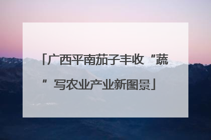 广西平南茄子丰收“蔬”写农业产业新图景