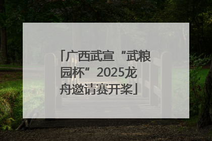 广西武宣“武粮园杯”2025龙舟邀请赛开桨