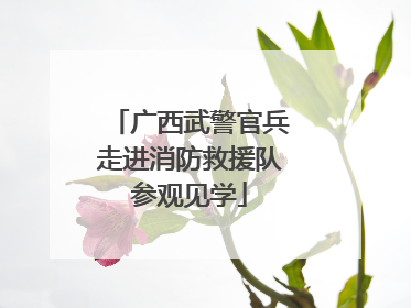 广西武警官兵走进消防救援队参观见学