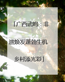 广西武鸣：非遗焕发蓬勃生机 乡村添光彩