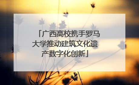 广西高校携手罗马大学推动建筑文化遗产数字化创新