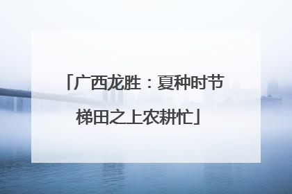 广西龙胜：夏种时节 梯田之上农耕忙