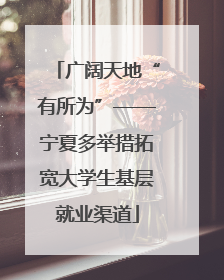 广阔天地“有所为”——宁夏多举措拓宽大学生基层就业渠道