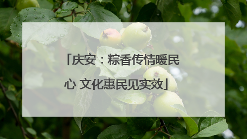 庆安：粽香传情暖民心 文化惠民见实效