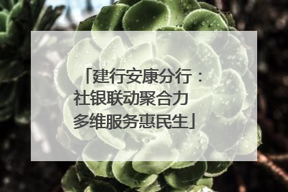 建行安康分行：社银联动聚合力 多维服务惠民生