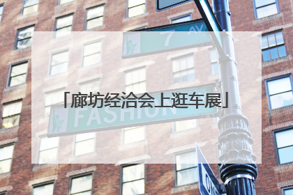 廊坊经洽会上逛车展