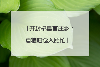 开封杞县官庄乡：夏粮归仓入廪忙