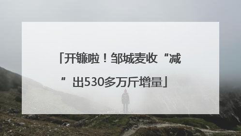 开镰啦！邹城麦收“减”出530多万斤增量