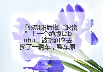张朝阳后悔“退货”！一个绝版Labubu，被胡润拿去换了一辆车，整车原价值上百万元