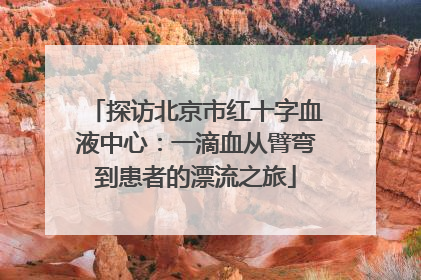 探访北京市红十字血液中心：一滴血从臂弯到患者的漂流之旅