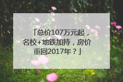 总价107万元起，名校+地铁加持，房价重回2017年？
