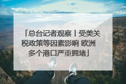 总台记者观察丨受美关税政策等因素影响 欧洲多个港口严重拥堵