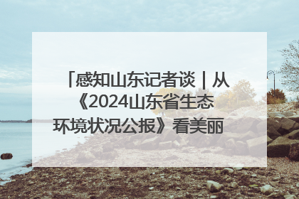 感知山东记者谈｜从《2024山东省生态环境状况公报》看美丽山东建设的“成绩单”与“任务书”