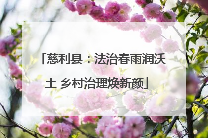 慈利县：法治春雨润沃土 乡村治理焕新颜