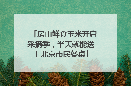 房山鲜食玉米开启采摘季，半天就能送上北京市民餐桌