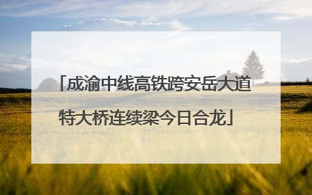 成渝中线高铁跨安岳大道特大桥连续梁今日合龙