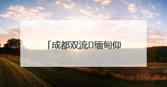 成都双流⇌缅甸仰光全货运航线开通