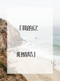 我的辽阳情结