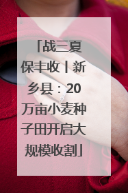 战三夏 保丰收丨新乡县：20万亩小麦种子田开启大规模收割