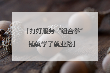 打好服务“组合拳” 铺就学子就业路
