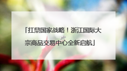 扛鼎国家战略！浙江国际大宗商品交易中心全新启航