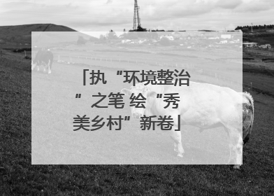 执“环境整治”之笔 绘“秀美乡村”新卷
