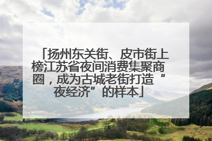 扬州东关街、皮市街上榜江苏省夜间消费集聚商圈，成为古城老街打造“夜经济”的样本