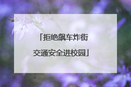拒绝飙车炸街 交通安全进校园