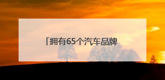 拥有65个汽车品牌 去年槐荫区新能源汽车销售额达113.9亿元