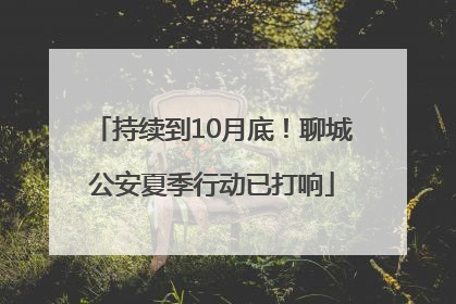 持续到10月底！聊城公安夏季行动已打响