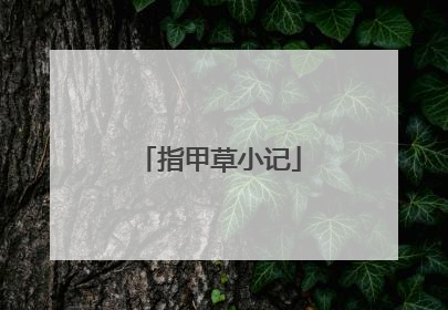 指甲草小记