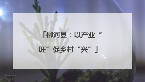 柳河县：以产业“旺”促乡村“兴”