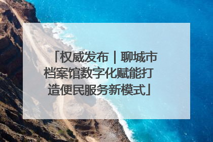 权威发布｜聊城市档案馆数字化赋能打造便民服务新模式