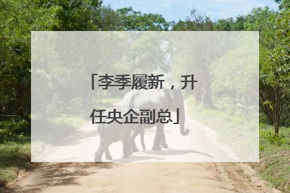 李季履新，升任央企副总