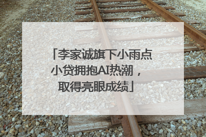 李家诚旗下小雨点小贷拥抱AI热潮，取得亮眼成绩