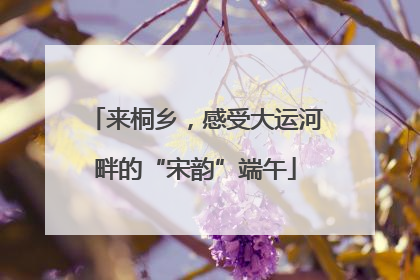 来桐乡，感受大运河畔的“宋韵”端午