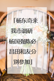 杨东奇来我市调研 杨国强陈必昌田和友分别参加